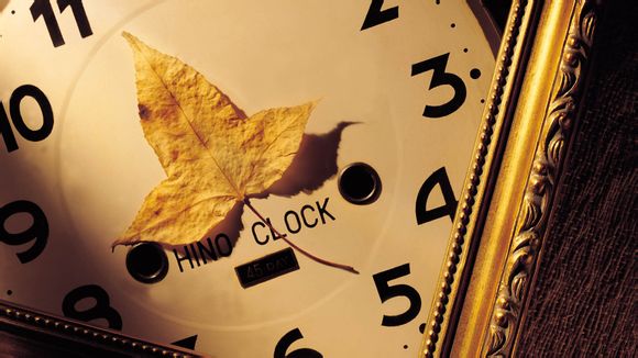 到丽江什么月份去比较好