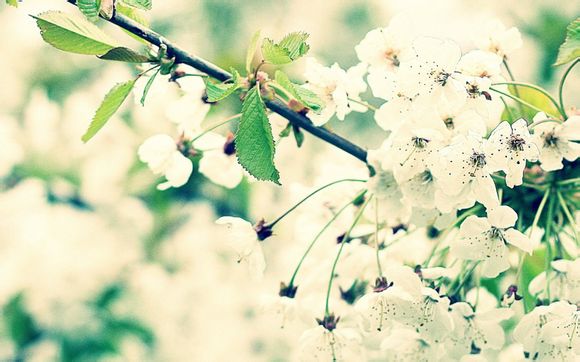 方舟生存进化手游月牙岛有哪些恐龙