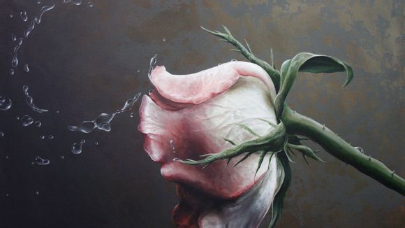 金沙岛几月去好看