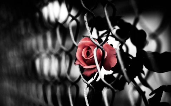 9月去拉萨旅游好吗现在