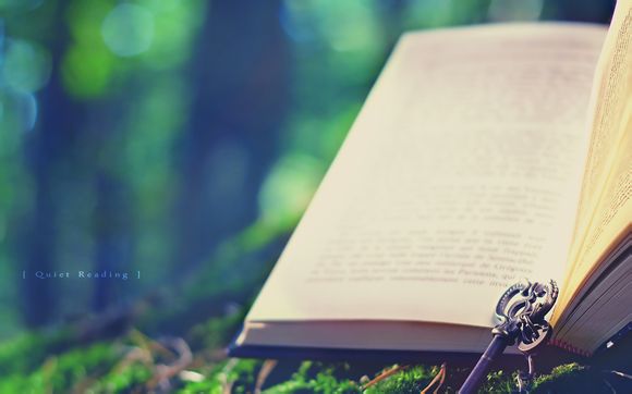 三亚凤凰岛上的有什么五星级酒店