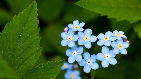 成都到九寨沟机票价格表