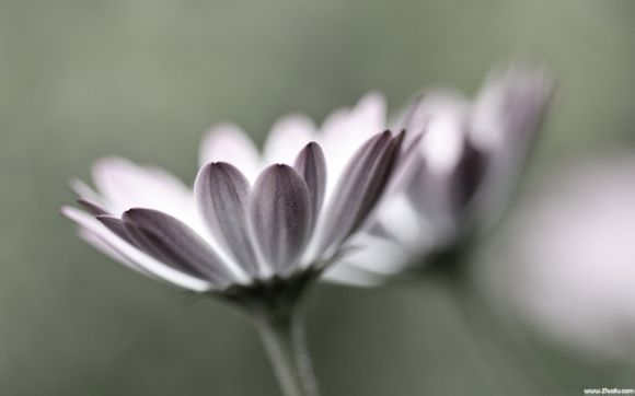 广州太古汇有哪些美食