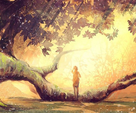 厦门一日游最佳路线多少钱