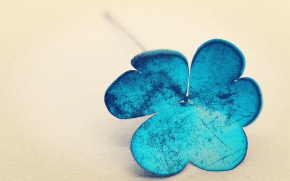 在哪可以团购景点门票