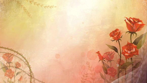 上海市松江影视基地门票