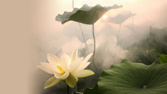 成都欢乐谷蹦极单独收费吗