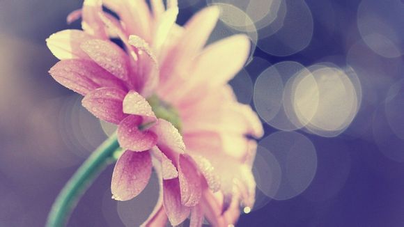 泡温泉都是需要带什么东西