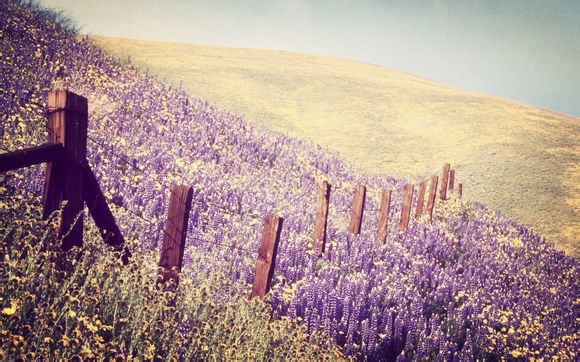 成都到泸沽湖最佳路线