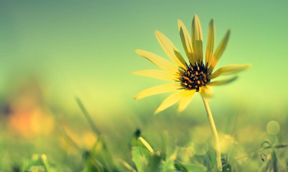 什么是旅游活动的主体