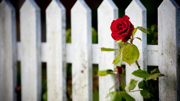 常州南山竹海门票多少钱一张