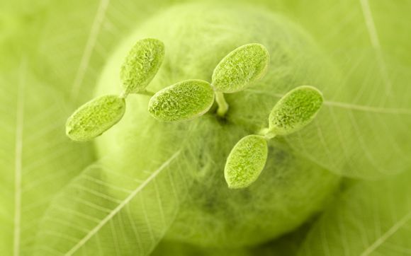 上海欢乐谷游玩项目有哪些景点