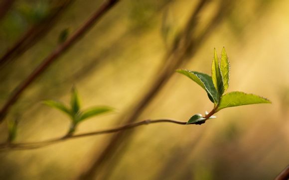 西安一天游玩去哪里好