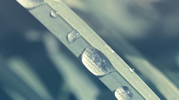 三亚现在可以玩了吗?