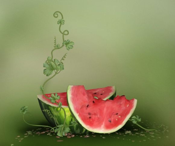 《中国旅游》杂志社