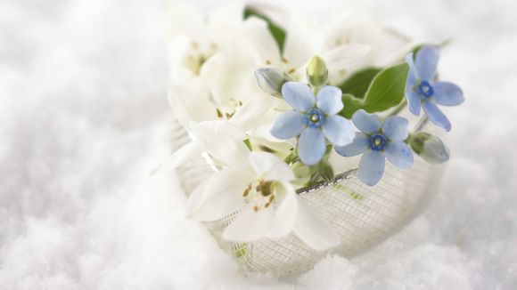 嘉绍大桥的简介