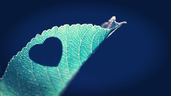 江西宜春的特产有哪些