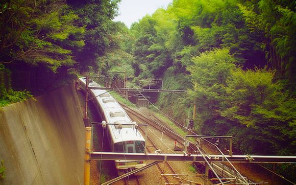 2021年神农架景区门票免费吗?