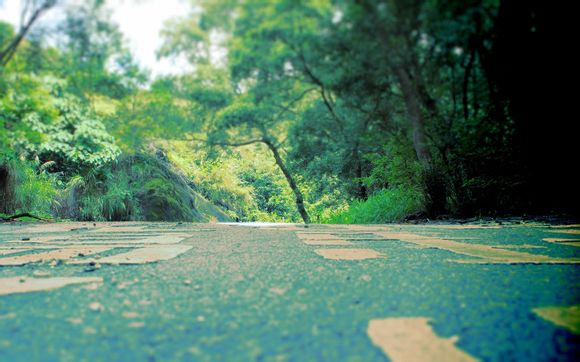 柬埔寨首都金边有什么好去处?今天我就来带你看一看