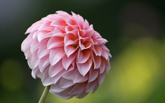 昆明周边泡温泉的地方哪里好玩