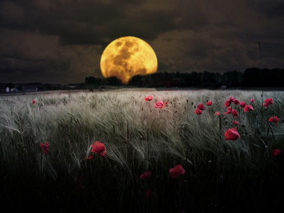 深圳玩碰碰车的地方