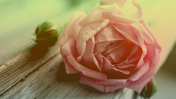 天涯海角比喻句