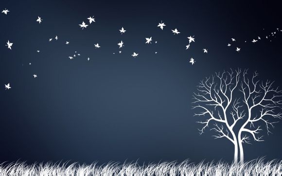 湛江有名的海滩