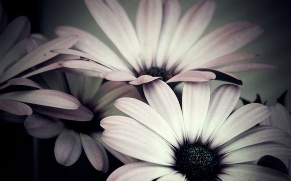 欢乐谷开门时间上海