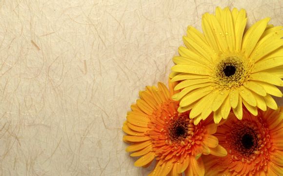 斯里兰卡是哪个州的呢