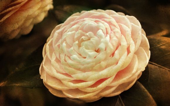 海南省哪个城市最适合居住