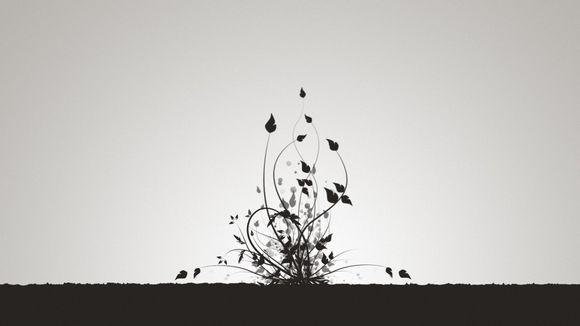 钱塘江10月涨潮时间表