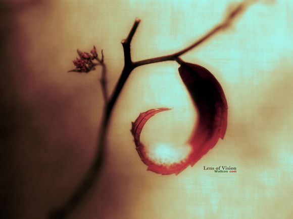 千龙湖生态旅游度假区在哪