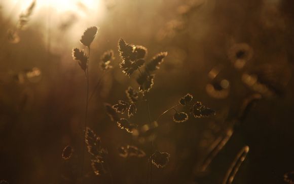 东阳梦幻谷开放时间最新