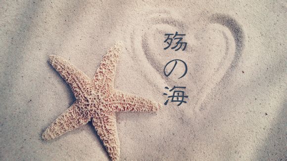 08年故宫门票价格