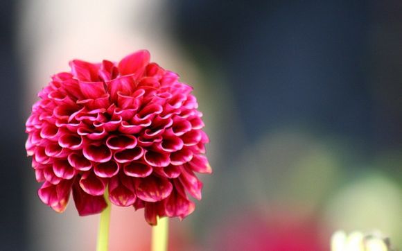 南京栖霞寺开放时间是几点