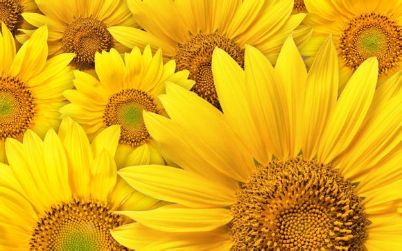 迪拜禁止中国人入境了吗现在