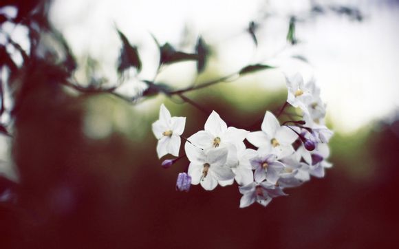 惠州小径湾沙滩要门票吗