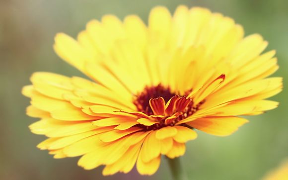 桂林有哪些景区持退伍军人优待证免门票