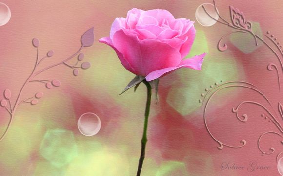 中国城市gdp 排位