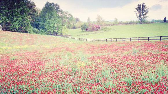 苏州适合秋天去的地方
