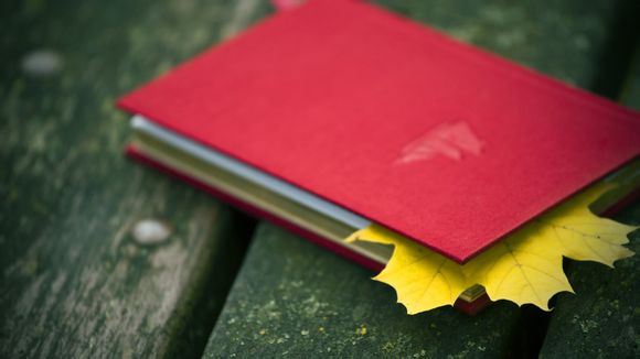 深圳有咩好玩的地方