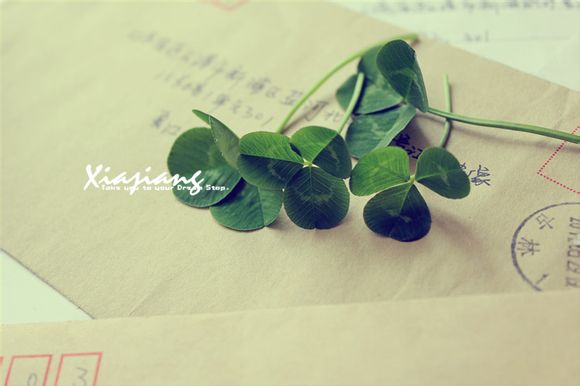 北京世界公园好玩吗值得去吗